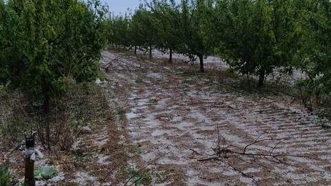 Konya'dan Türkiye'ye müthiş haber! Çiftçi 20 dönümlük tarlasına bakmaya gidince gördüğü manzara ile sevinçten havalara uçtu