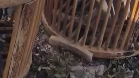 Siirt'te doğada dokunması yasak olan hayvandan 2 tanesine dokundu... Şimdi 63.000'i hazır etmek zorunda