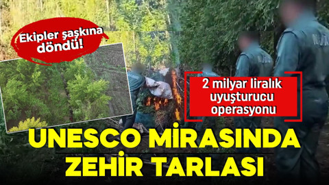 UNESCO mirasında zehir tarlası! Ekipler şaşkına döndü! 2 milyar liralık uyuşturucu operasyonu