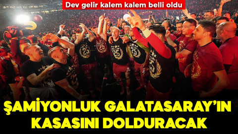 Şampiyonlukla köşeyi döndü! Galatasaray'ın kasası eurolarla dolacak! Şampiyonlar Ligi'nden gelecek para kalem kalem ortaya çıktı