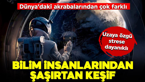 "Uzaya özgü, strese dayanıklı!" Bilim insanlarından şaşırtan keşif