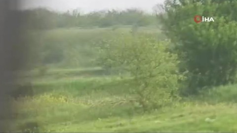 Karabük’te 1 tanesi çalılıkların arasından bir anda otomobil sürücüsünün önüne atladı. Sürücü büyük panik yaşadı