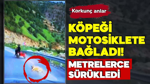 Korkunç anlar: Köpeği motosiklete bağladı! Metrelerce sürükledi