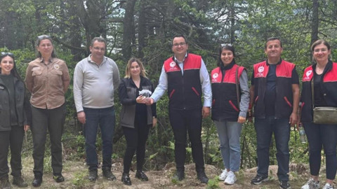 Balıkesir'de 200 dişi ve 100 erkek olmak üzere toplamda 300 tanesi doğaya bırakıldı. Görevleri çok önemli