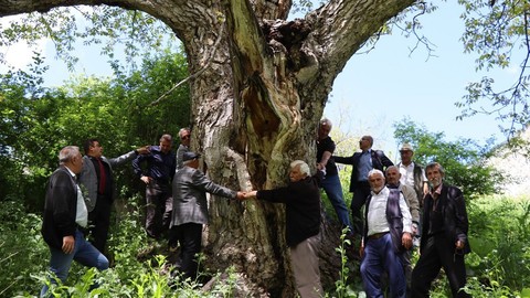 Erzurum'da en az 300 yıldan bu yana aynı yerde duruyor... 300 yıldır neler gördü neler