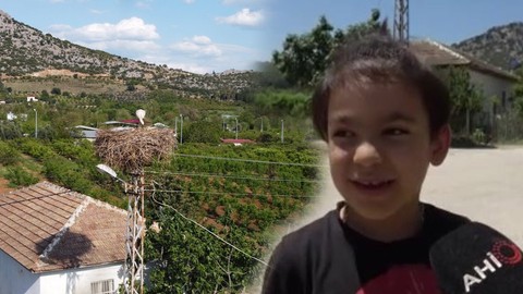 Adana'da 5 yıldan bu yana bölgeye gelen hayvanın yuvasına 5 yıl sonra bakan vatandaşlar, Türkiye için adeta korkunç manzarayı gördü
