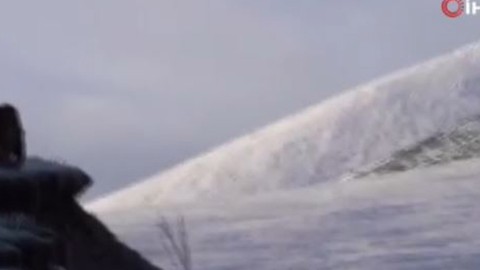 Ardahan'da  2550 rakımlı Ilgar Dağı geçidinde ortaya çıktı.  O hayvan heybetiyle dikkat çekti