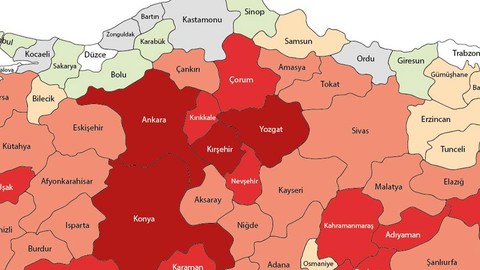 Tokat, Sivas, Çorum, Amasya, Erzurum'a acil uyarı verildi! O tehlikeli hayvan 10'ar 10'ar ortaya çıkmaya başladı! Tehlikenin asıl büyüğü sizde