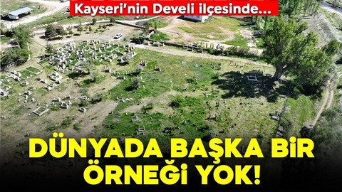 Kayseri'nin Develi ilçesinde! Dünyada başka bir örneği yok