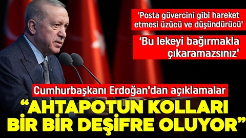 Cumhurbaşkanı Erdoğan'dan önemli açıklamalar: Ahtapotun kolları bir bir deşifre oluyor