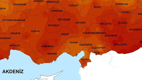 Hatay, Adana, Mersin ve Antalya'ya flaş uyarı verildi. 1 tanesi o hayvandan ilk kez sizin orada görüldü