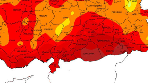 Hatay'da sıcak basınca ortaya çıktı. Gaziantep, Şanlıurfa, Kilis, Adana, Osmaniye ve Mersin her an o 1,5 metrelik hayvan sizde istila başlatabilir