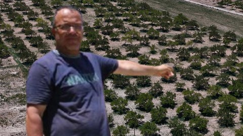 Sivas'tan Türkiye'ye korkunç haber! 15.000 tanesi tek 1 tane bile vermedi çiftçi tarlaya gidince o manzarayı gördü