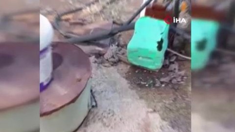 Adana'da ortaya çıktı... 2 metre uzunluğu vardı Adana'dan sonra Hatay, Mersin, Gaziantep, Kilis, Şanlıurfa ve Diyarbakır'a o hayvanla ilgili acil uyarı