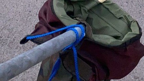 Gümüşhane'de 2 metre uzunluğunda bir anda ortaya çıktı. Normalde sizde şu an çok olmaz ama Giresun, Ordu, Rize, Samsun ve Trabzon siz de o hayvana dikkat edin