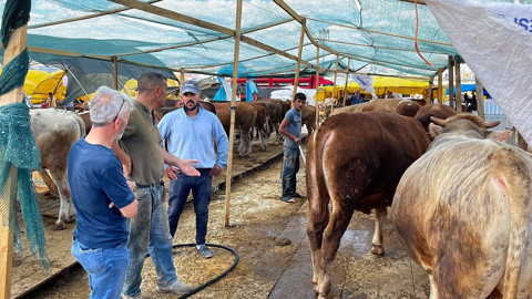 Sincan’da Kurban Bayramı öncesi hazırlıklar tamamlandı: Kesim alanlarına randevu sistemi geliyor