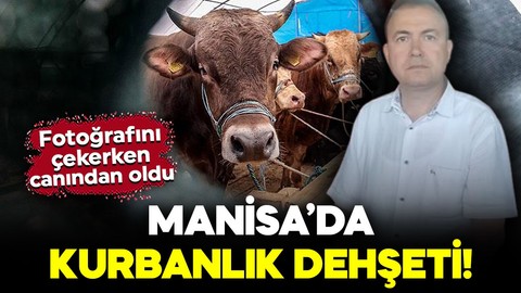 Manisa’da kurbanlık dehşeti! Sattığı dananın fotoğrafını çekerken canından oldu