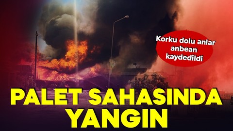 Kocaeli'nde palet depolama sahasında yangın! Kontrol altına alındı