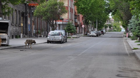 Kars’ta Kurban Bayramı’nda alışık olunmadık manzara yaşandı. sokaklarda sessizlik hakim oldu. Cadde ve Sokaklar Boş Kaldı