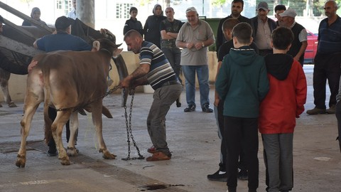 Sivas’ta Kurban Bayramı’nın ilk günü kesim alanlarında yoğunluk yaşandı