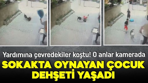 Sokakta pitpull dehşeti! Küçük çocuğu çevredekiler kurtardı, o anlar kameraya yansıdı!