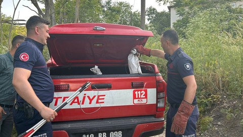 Balıkesir’de vatandaşlar doğada 1 tanesini görüp ekiplere haber verdi. Bölgeye gelen ekipler yaptıkları çalışma sonrasında tam 3 tanesini çalılıların arasından çıkardı