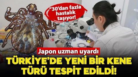 Türkiye'de yeni bir kene türü tespit edildi! Japon uzmandan korkutan uyarı: 30'dan fazla hastalık taşıyor
