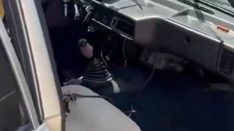 Mersin'de uzunluğu 1 metreden fazla o hayvan arabanın içinde kendini gösterdi. Vatandaşlar itfaiye ekiplerini arayarak yardım istedi