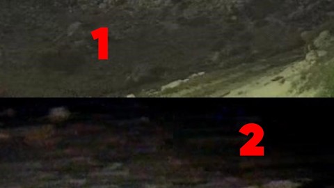 Antalya'da yayla evinin bahçesinde kurulan kameraya takıldılar. Sadece 1'er dakika arayla 2 tanesi kameranın açısına girdi