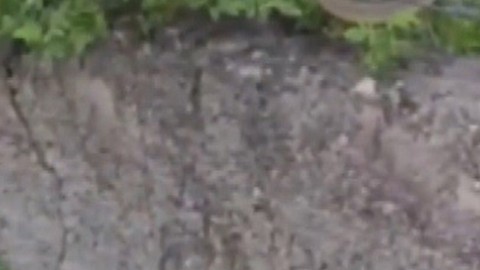 Erzincan’da doğada su kanalında 2 metre uzunluğunda bir anda ortaya çıktı. 2 metrelik hayvana doğru yaklaşan vatandaşlar o detayı hemen fark etti