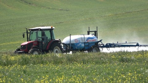 Yozgat'ta tarlaları don felaketinden sonra bir de hardal istilası sardı. Çiftçiler zararı önlemeye çalışıyor