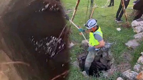 Siirt'te doğadaki kuyudan 2 günden bu yana acı acı bağırış sesleri geliyordu. 2 gün sonra kuyuya inen ekipler resmen gördüğü manzara ile halatlara sarıldı