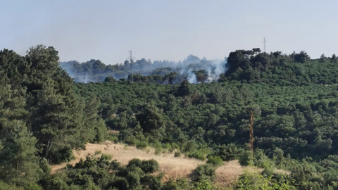 Çanakkale'de orman yangını kontrol altında
