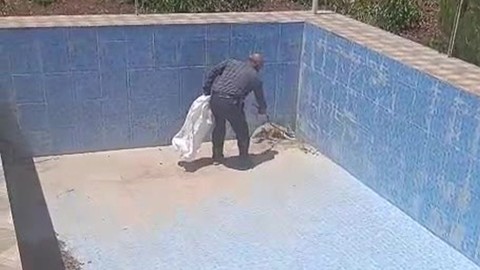Batman'da tarlada çalıştığı sırada duyduğu sesle harekete geçti. 2 metrelik boş havuzda yavru tilkiyi görüp kurtardı