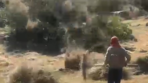 Bingöl'de bir anda çıkan hortum çitçilerin topladığı otları gökyüzüne kadar çıkarttı