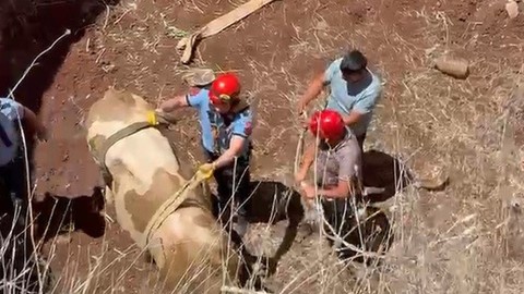 Gaziantep'te 2 metrelik çukurun içine düşmüştü. 2 metrelik çukurdan çıkarılınca o detayı fark eden ekiplerin gözleri yaşlandı