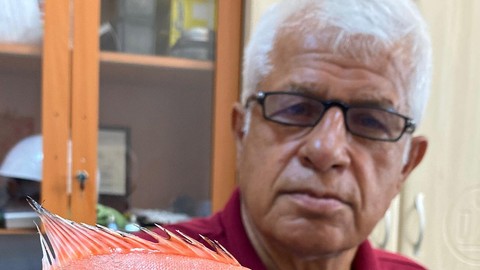 Antalya'da o hayvan 1 kez görüntülendi... O hayvana 1 kez bakanlar onu daha önce görmediklerini hemen anladı! Resmen İsrail üzerinden gelmiş