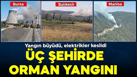 Üç şehirde orman yangını! Ekipler seferber oldu! Bursa'da yangın büyüdü, elektrikler kesildi