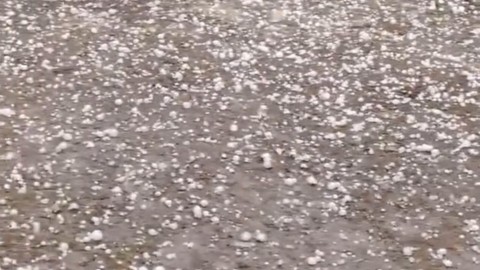 Edirne’de 10 dakikalık dolu yağışı ekili arazilere büyük zarar verdi