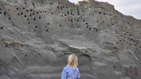 Tokat’taki beton şantiyesinde kum yığınlarına kırlangıçlar yuva yaptı