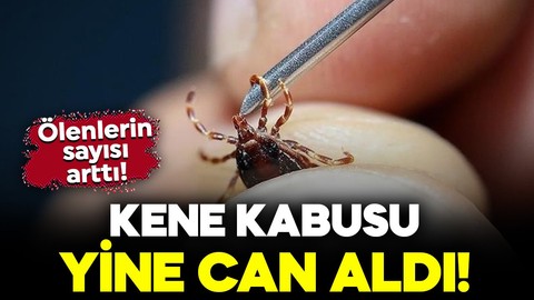 Kene kabusu can almaya devam ediyor! Yüksek ateş şikayetiyle geldi, kurtarılamadı