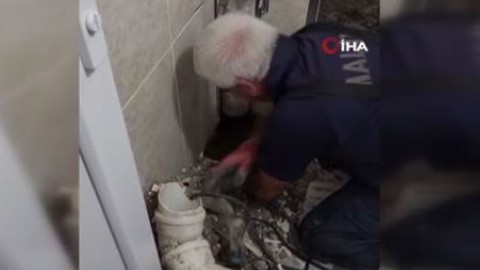 Malatya'da ihbar üzerine giden ekipler, atık su hattındaki manzarayı görünce yürekleri sızladı. 1 saat boyunca uğraştılar