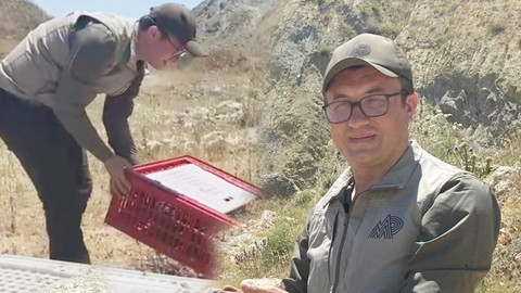 Bursa'da 100 tanesi özel kırmızı kafesler içerisinde getirildi. 1 tane insan bile görmeden 100 tanesi doğaya bırakıldı