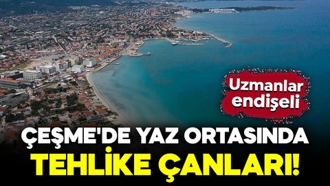 Çeşme'de yaz ortasında tehlike çanları! Uzmanlar endişeli: Kritik seviyelere geriledi