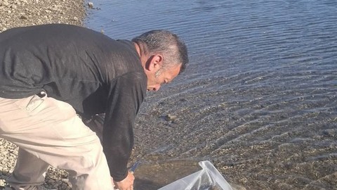 Afyonkarahisar'da 85.000 tanesi özel koruma içerisinde el değmeden getirildikten sonra doğaya salındı