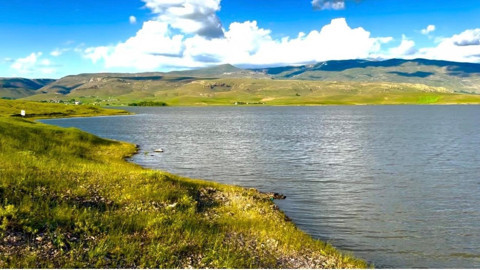 Ağrı'dan Türkiye'ye korkunç haber verildi... Patnos'ta yakında o hayvandan 1 tane bile kalmayacak acil çağrı verildi