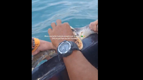 Denizde can vermek üzere olan hayvanı turistler fark edip kurtardı