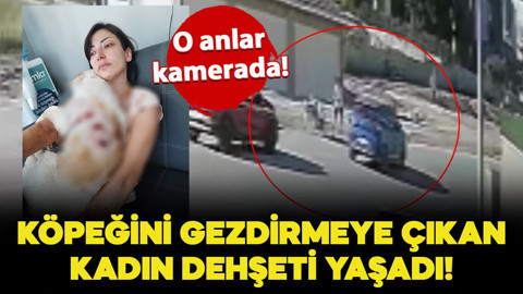 Köpeğini gezdiren kadın dehşeti yaşadı! O anlar kamerada