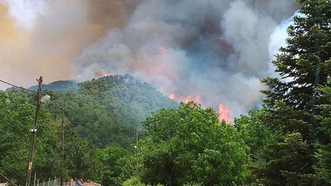 Antalya'da orman yangınları! Kontrol altına alındı: 1 hektar alan zarar gördü