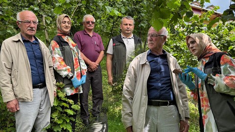 Ordu, Giresun, Samsun, Trabzon'dan sonra haftada 300.000 çoğalan istilacı Marmara'ya da giriş yaptı. Tek çare 10.000'lerce o hayvandan salmak